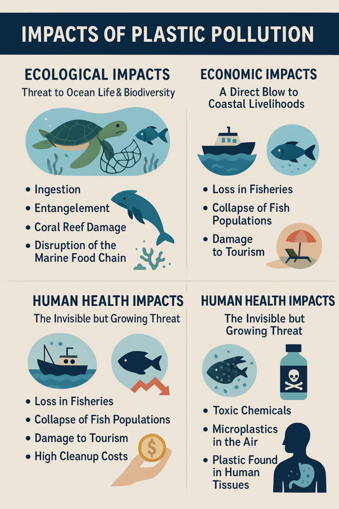 plastic pollution ecology economy health.png