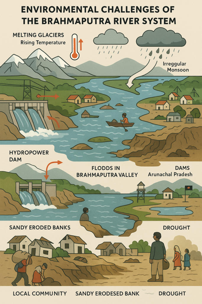 brahmaputra environmental challenges infographic